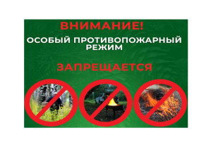 Особый противопожарный режим Особый противопожарный режим.